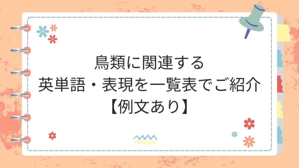 鳥類に関連する英単語・表現を一覧表でご紹介