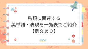 鳥類に関連する英単語・表現を一覧表でご紹介