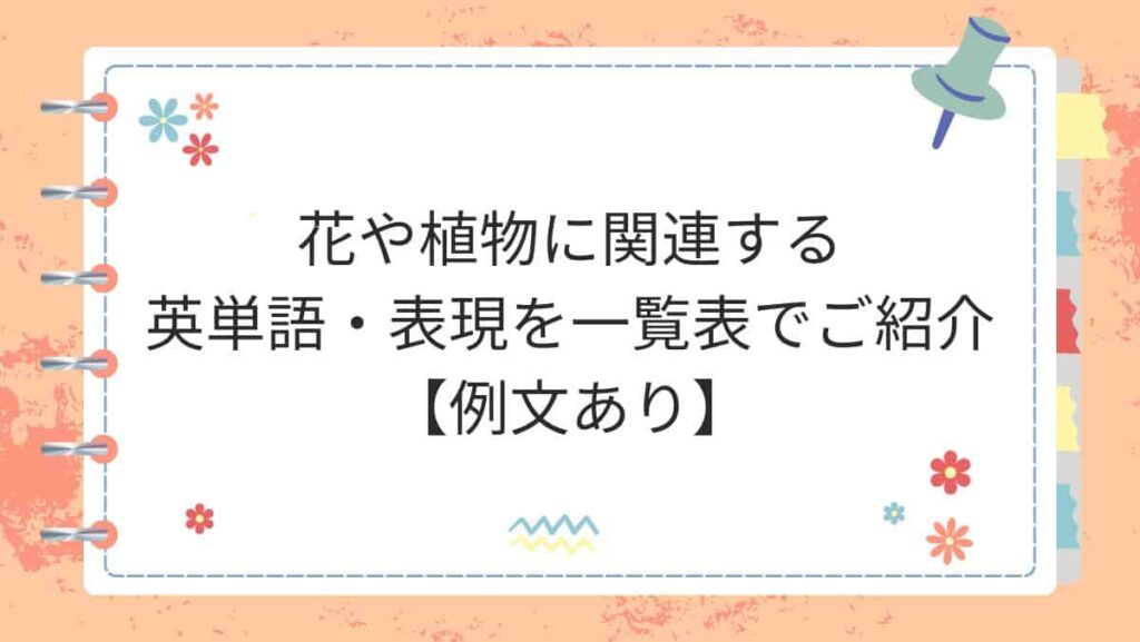 花や植物に関連する英単語・表現を一覧表でご紹介